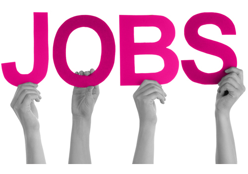 A TALENTED INDIVIDUAL SEEKING A NEW ROLE?